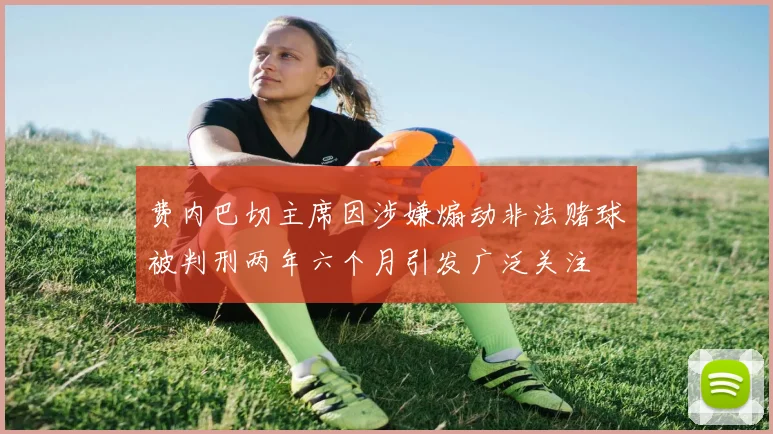 费内巴切主席因涉嫌煽动非法赌球被判刑两年六个月引发广泛关注