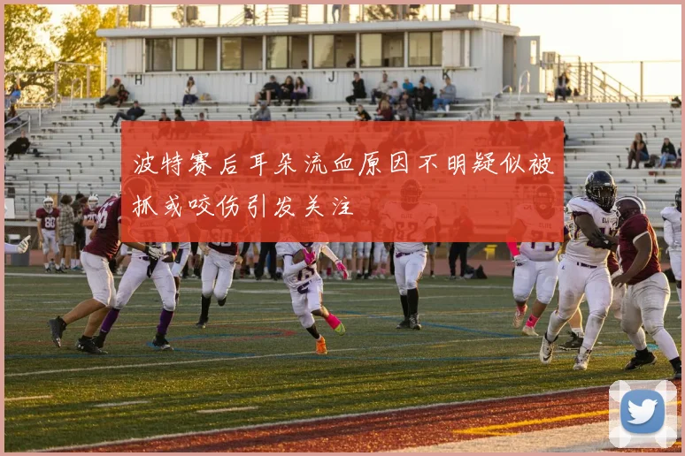 波特赛后耳朵流血原因不明疑似被抓或咬伤引发关注
