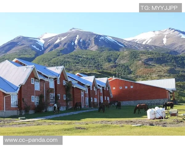 坎比亚索谈客战博德体能挑战与人造草皮适应问题 坎比亚索谈客战博德体能挑战与人造草皮适应问题