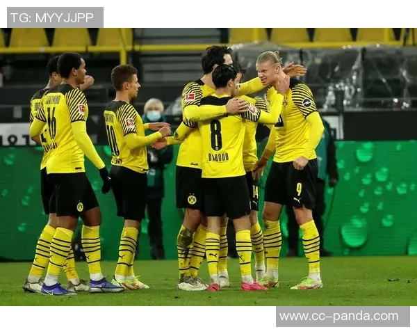 多特蒙德与沃尔夫斯堡争夺图卢兹后卫克雷斯维尔补强中卫阵容